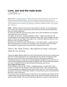 Love, sex and the male brain