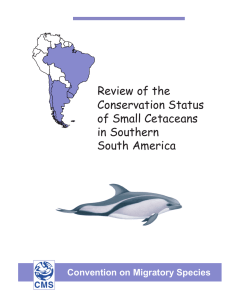 Review of the Conservation Status of Small Cetaceans in