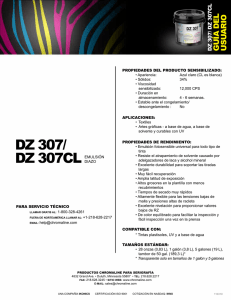 DZ 307/
