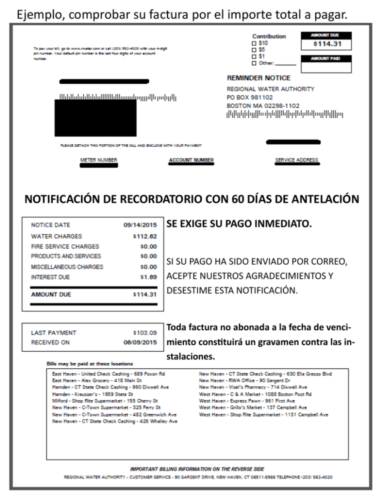 Ejemplo Comprobar Su Factura Por El Importe Total A Pagar 