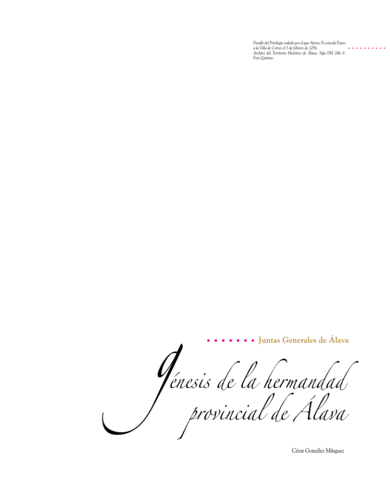 Génesis de la Hermandad Provincial de Álava. Autor