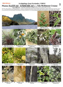 Plantas NATIVAS y ENDEMICAS de la Isla Robinson