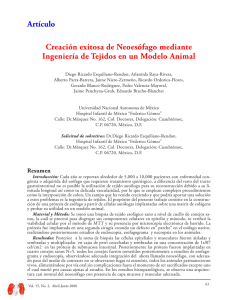 Creación exitosa de Neoesófago mediante Ingeniería de Tejidos en