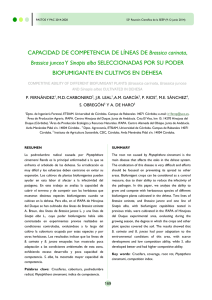CAPACIDAD DE COMPETENCIA DE LÍNEAS DE Brassica carinata