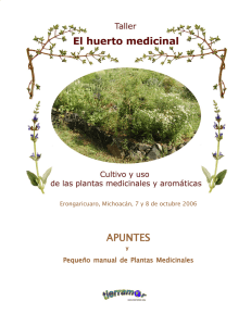 El huerto medicinal