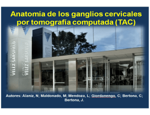 Anatomía de los ganglios cervicales por tomografía computada (TAC)