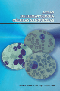 Atlas de Hematología (Células Sanguíneas)