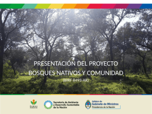presentación del proyecto bosques nativos y