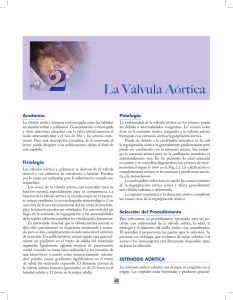 La Válvula Aórtica - libreria medica berri