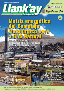 Matriz energética del Complejo Metalúrgico será a GAS Natural