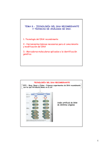 TEMA 8.- TECNOLOGÍA DEL DNA RECOMBINANTE Y TÉCNICAS