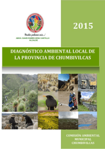 instrumento de gestión - Municipalidad Provincial de Chumbivilcas