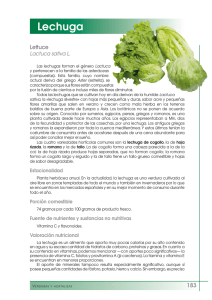Lechuga - FEN. Fundación Española de la Nutrición