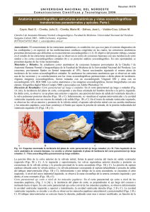 Anatomía ecocardiográfica - Universidad Nacional del Nordeste