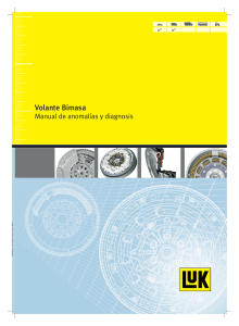 Volante Bimasa: Manual de anomalías y diagnosis