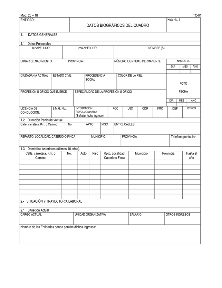 MODELO TC-01 DATOS BIOGRÁFICOS DEL CUADRO