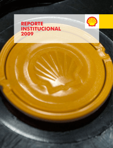 REPORTE INSTITUCIONAL 2009