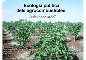Anticooperació? Ecologia política dels agrocombustibles.