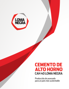 Folleto - Loma Negra