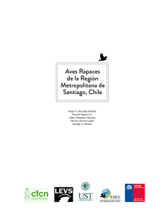 Parte II: Aves Rapaces de la Región Metropolitana de Santiago, Chile