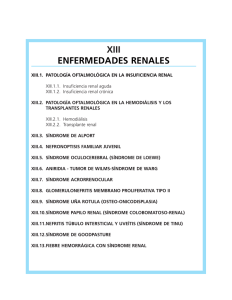 xiii enfermedades renales