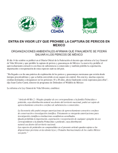 entra en vigor ley que prohibe la captura de pericos en mexico