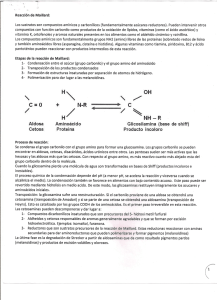 Page 1 Reacción de Maillard: Los Sustratos Son compuestos