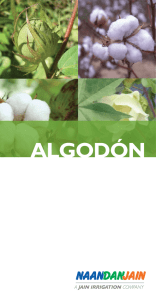 algodón - NaanDan Jain Irrigation Ltd