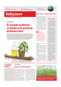 El cannabis medicinal se instala en la provincia de Buenos Aires
