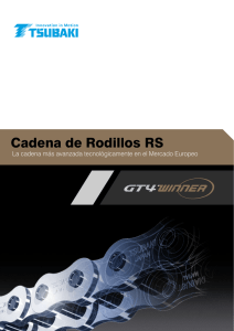Cadena de Rodillos RS