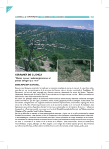 serrania de cuenca.cdr - Gobierno de Castilla