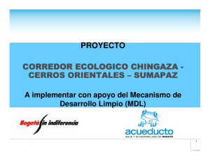 Corredor ecologico MDL-Acueducto - Mesa Ambiental de los Cerros