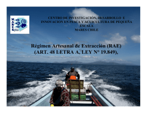 R&eacute;gimen Artesanal de Extracci&oacute;n (RAE) (ART. 48
