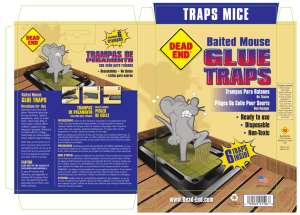 1106 - Dead End Mouse Traps 6 pack
