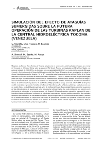 simulaci´on del efecto de atagu´ias sumergidas sobre