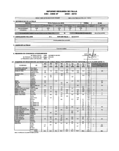 Informe Resumen de Falla 2450 19-02-2010 - CDEC-SING