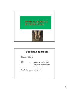 Densidad aparente