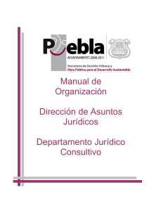 Manual de Organización Dirección de Asuntos Jurídicos