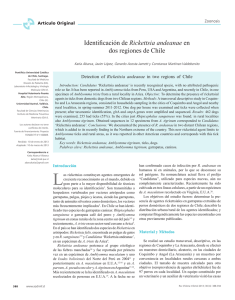 Identificación de Rickettsia andeanae en dos regiones de Chile