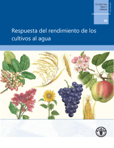 Respuesta del Rendimiento de los Cultivos al Agua: Estudio FAO