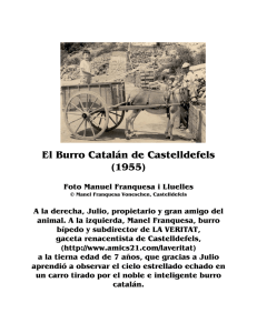 El Burro Catalán de Castelldefels (1955)