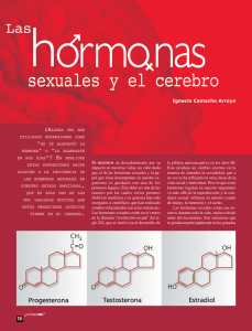 Las hormonas sexuales y el cerebro.