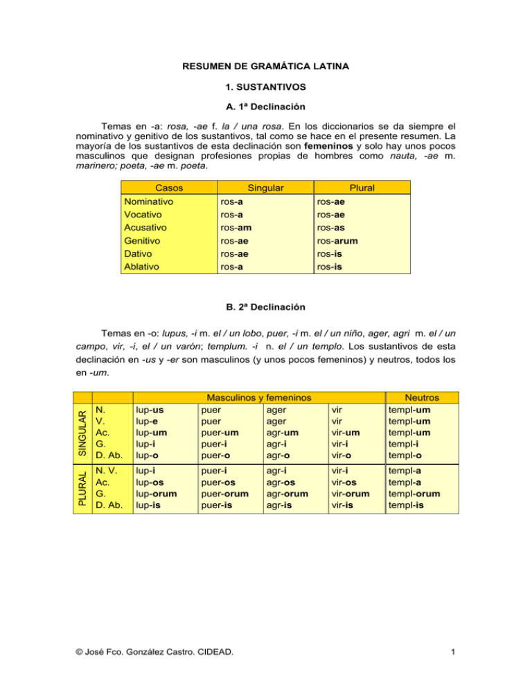 Resumen De La Gramática Latina