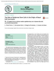 The Role of Epidermal Stem Cells in the Origin of Basal