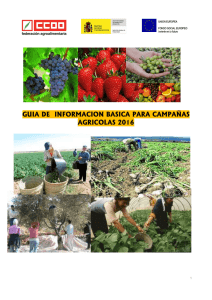 Información general campañas agrícolas nacionales 2016