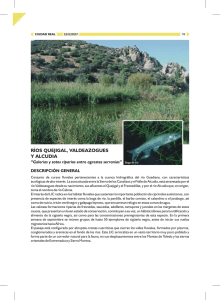 Ficha descriptiva del los Ríos Quejigal, Valdeazogues y Alcudia