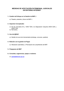 medidas de afectación patrimonial judiciales en entorno internet