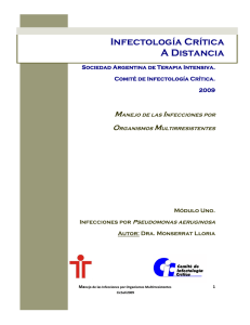 Infecciones por Pseudomonas aeruginosa