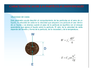 CARACTERÍSTICAS DE LAS PARTÍCULAS INDIVIDUALES