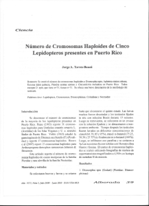 Número de Cromosomas Haploides de Cinco Lepidopteros